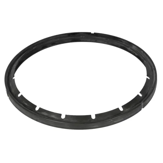 8L gasket 8-10 L Ø 253 mm X 1010003