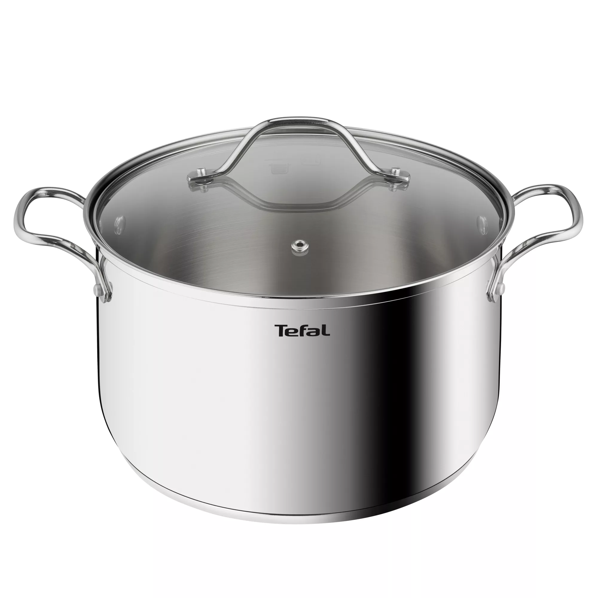 TEFAL Intuition XL stockpot | 26 cm | Premium Stainless steel 18/10 | XL Size | Robust Handles | Glass Lid | Induction Pot | 2 Years Warranty | B8646304