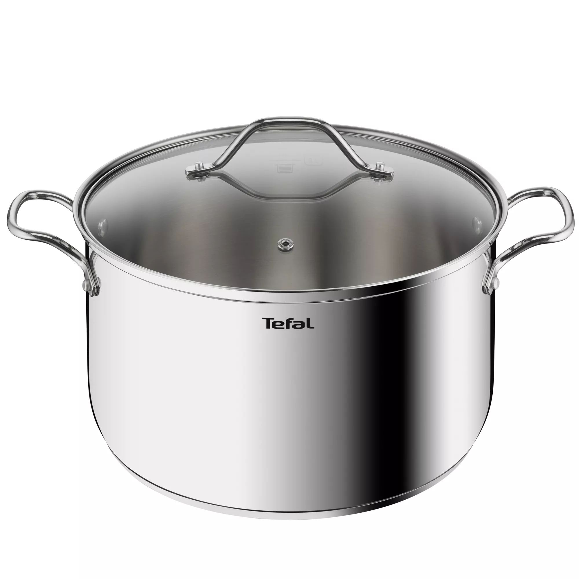TEFAL Intuition XL stockpot | 28 cm | Premium Stainless steel 18/10 | XL Size | Robust Handles | Glass Lid | Induction Pot | 2 Years Warranty | B8646404