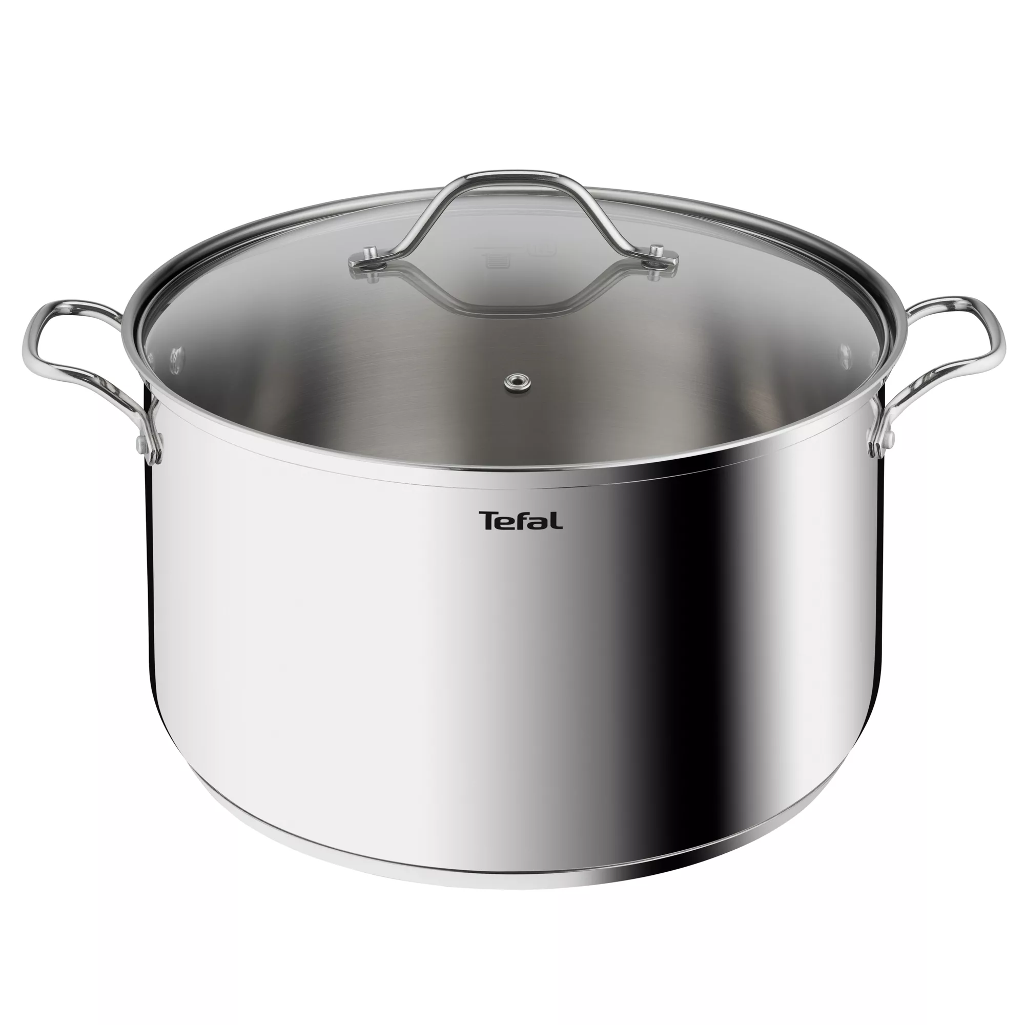 TEFAL Intuition XL stockpot | 32 cm | Premium Stainless steel 18/10 | XL Size | Robust Handles | Glass Lid | Induction Pot | 2 Years Warranty | B8647404